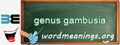 WordMeaning blackboard for genus gambusia